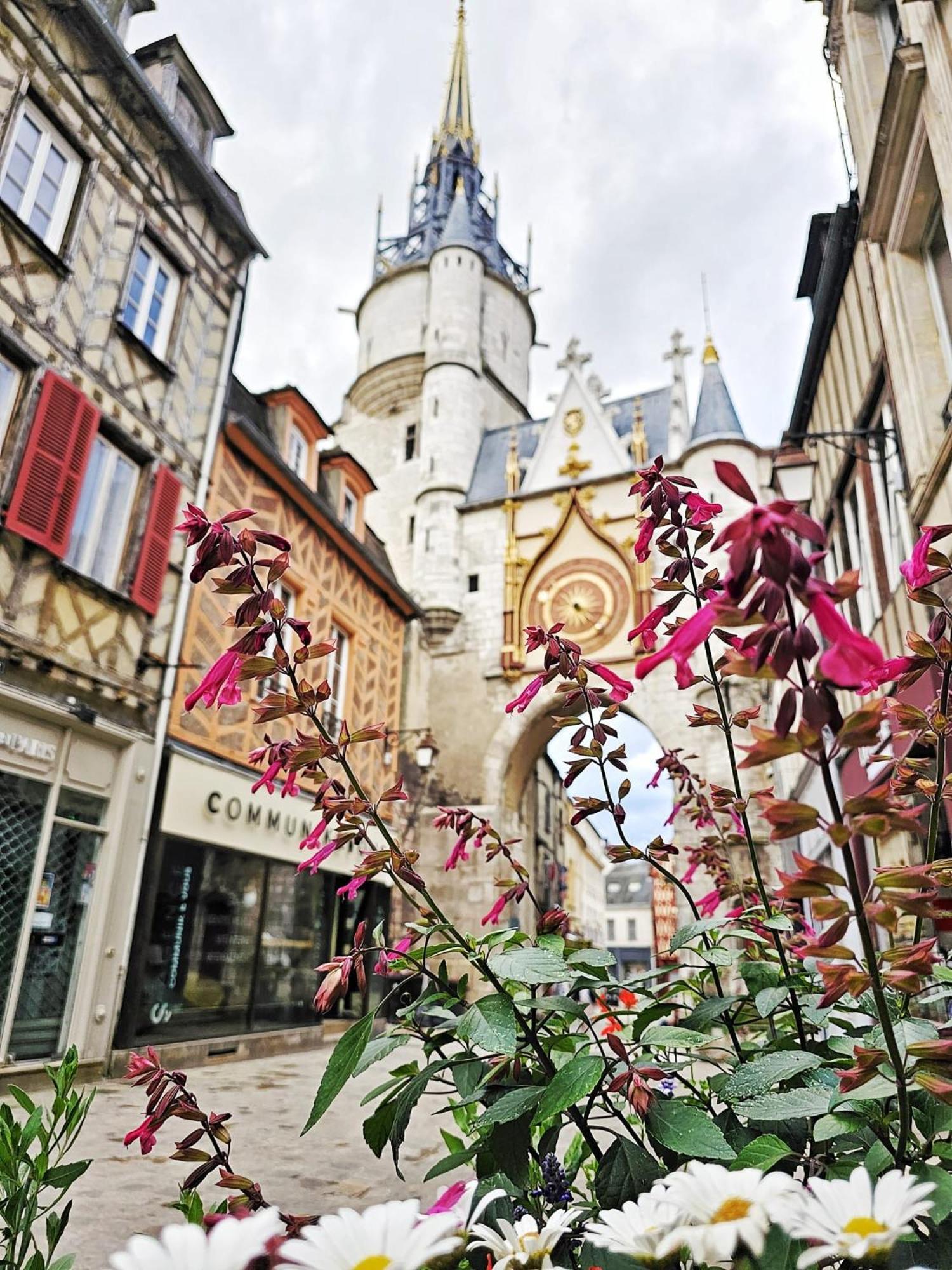 Appartement Aux'Cerfs - A Deux Pas De L'Abbaye à Auxerre Extérieur photo